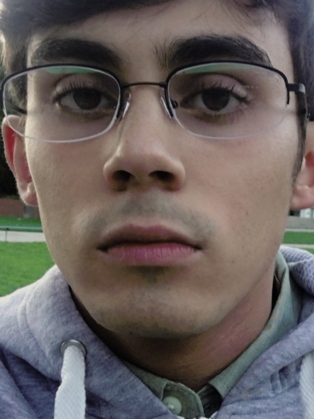 American Vandal.