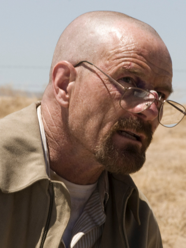 Breaking Bad (Season 4).