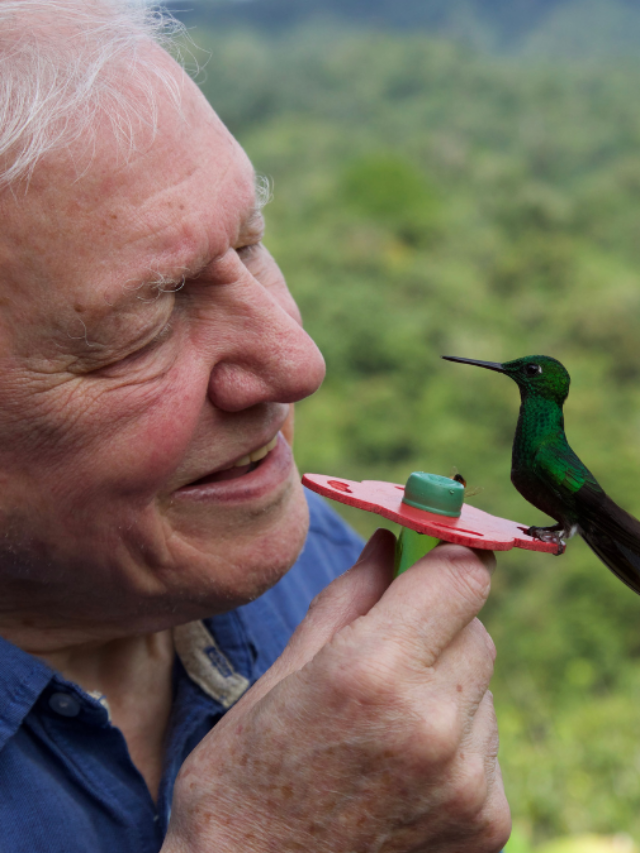 Life in Colour with David Attenborough - Production Still Image.