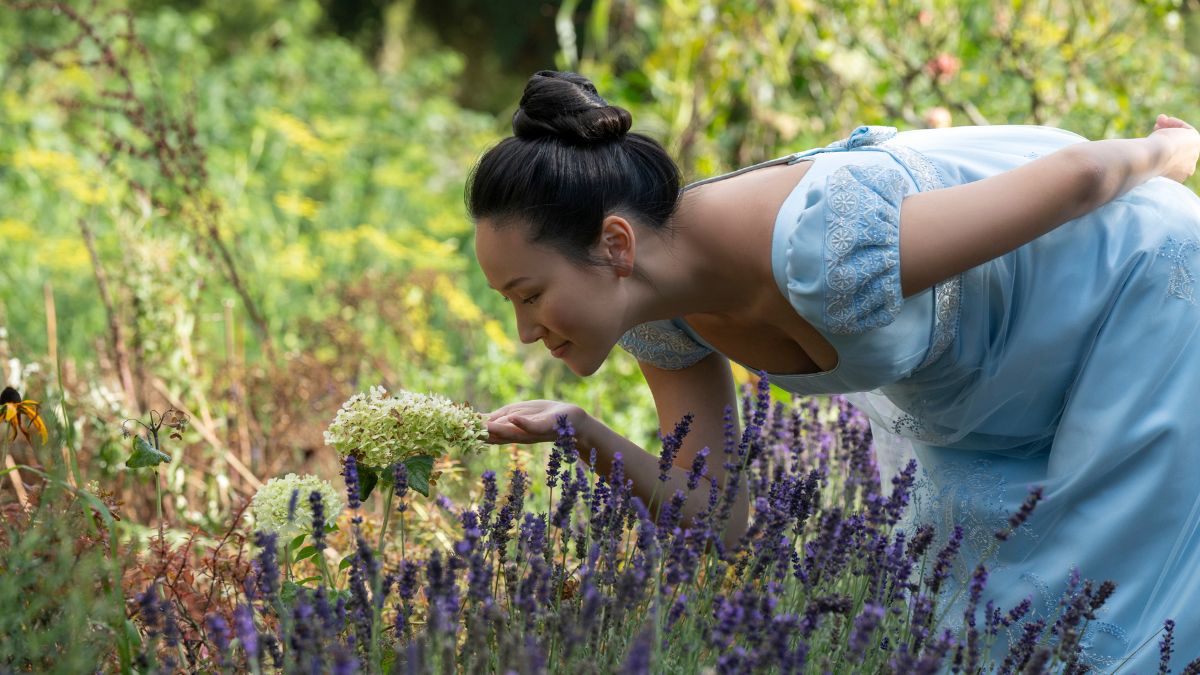 Bridgerton Season 4. 